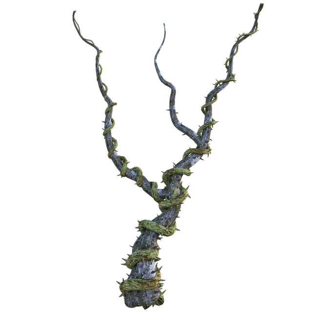 藤蔓 纠纷 吠 - 上的免费图片