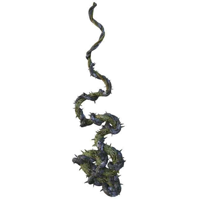 藤蔓 纠纷 吠 - 上的免费图片