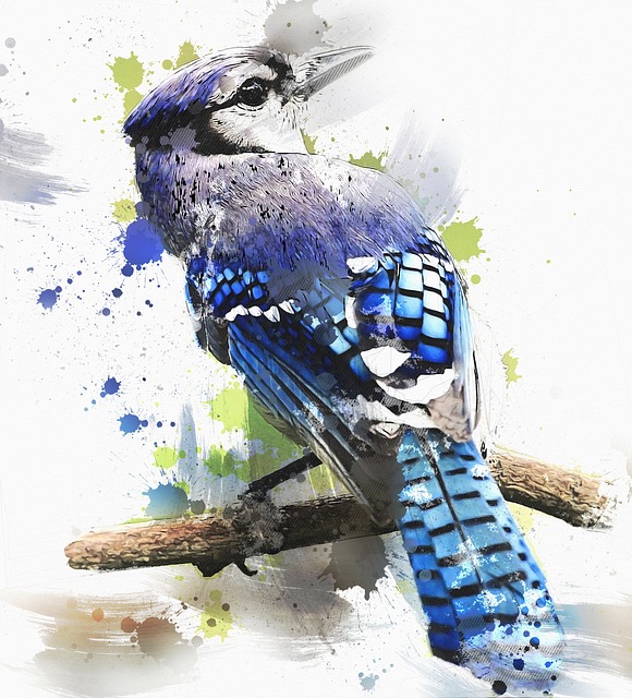 鸟 蓝色的 克里斯塔塔 - 上的免费图片