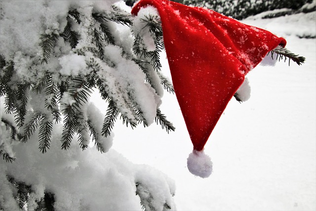 圣诞树 帽子 死 - 上的免费照片