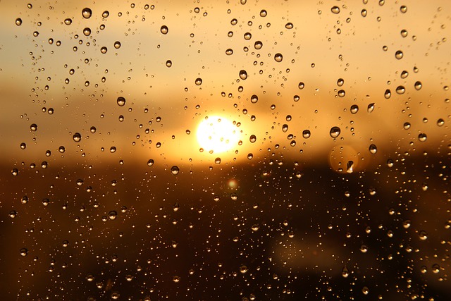 雨 太阳 窗户 - 上的免费照片