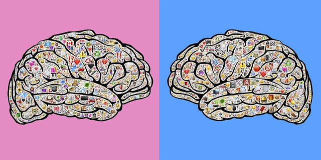 心态 经验 性别 - 上的免费图片