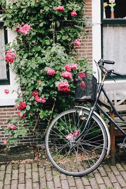 阿姆斯特丹 自行车 荷兰 - 上的免费照片