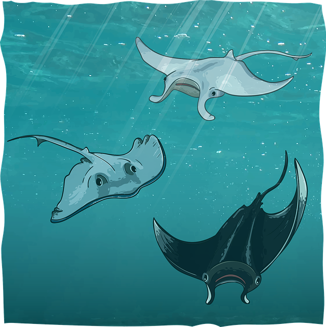 黄貂鱼 蝠鲼 水下 - 免费矢量图形