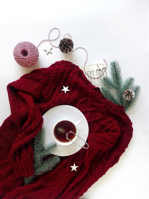 茶 喝茶 冬季 - 上的免费照片