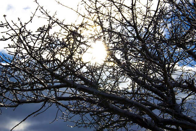 太阳 冰 雪 - 上的免费照片