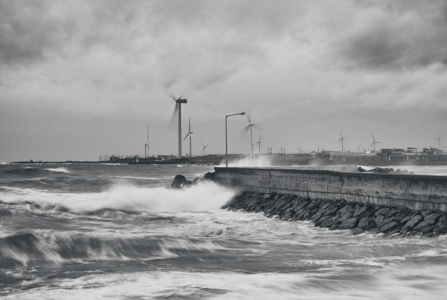 海洋 济州 大自然 - 上的免费照片