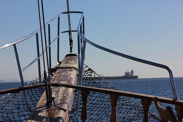 约旦 旅行 海 - 上的免费照片