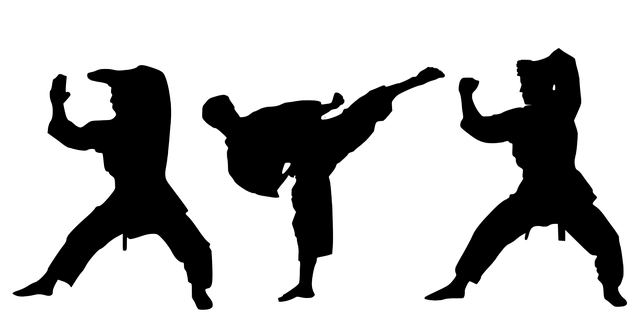 空手道 体育 训练 - 上的免费图片