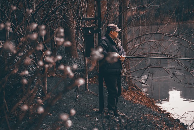 中国 水镇 古镇 - 上的免费照片