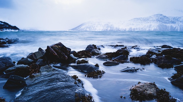 海 挪威 峡湾 - 上的免费照片