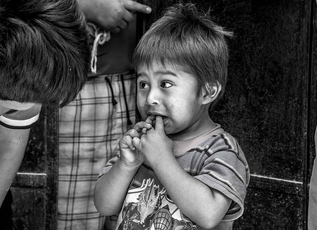 圣赫罗尼莫德苏尔科 秘鲁 酸橙 - 上的免费照片