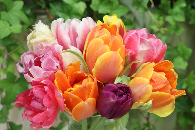 郁金香 花束 花朵 - 上的免费照片