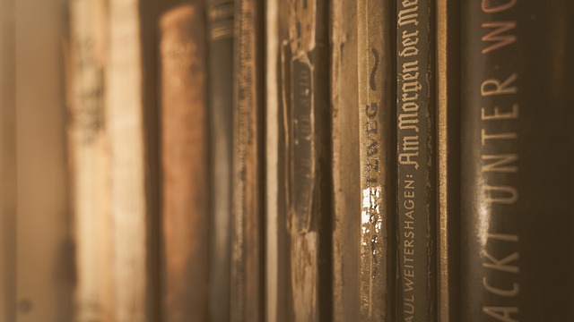 一本书 书回来 书架 - 上的免费照片