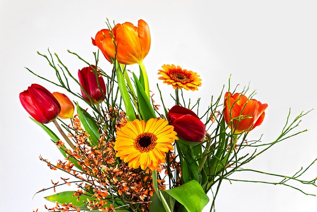 郁金香 非洲菊 复合材料 - 上的免费照片