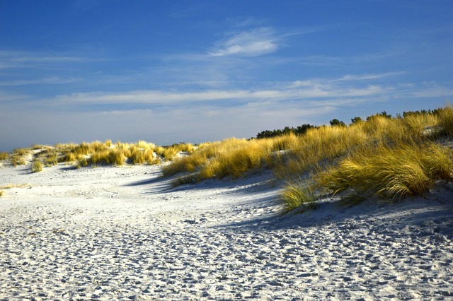 沙丘 丘景观 海滩 - 上的免费照片