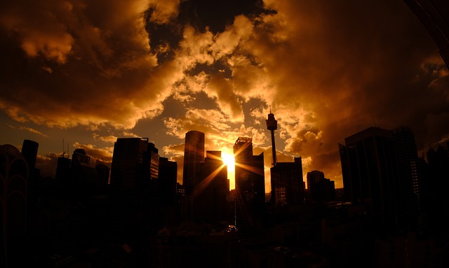 悉尼 天际线 塔 - 上的免费照片
