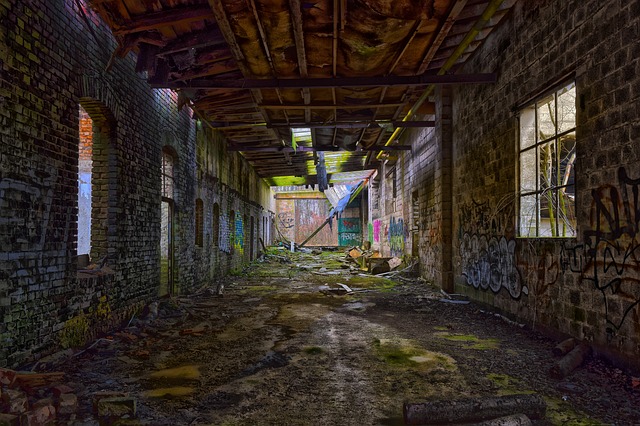 丢失的地方 工厂 Pforphoto - 上的免费照片