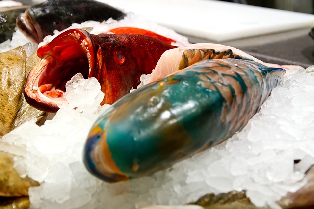 鱼 鱼柜台 鱼业务 - 上的免费照片