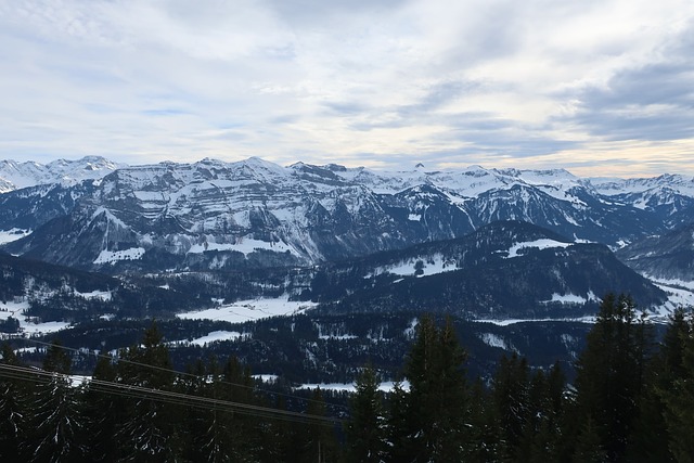 Bregenzerwald 山 冬天 - 上的免费照片