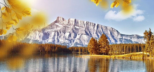 景观 性质 湖 - 上的免费照片