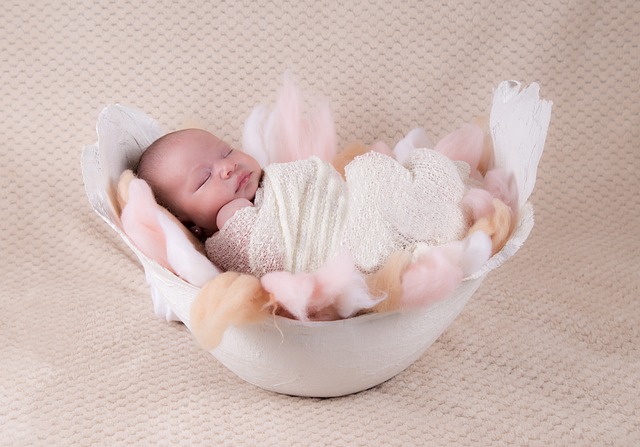 佩莹 腹部 模具 - 上的免费照片