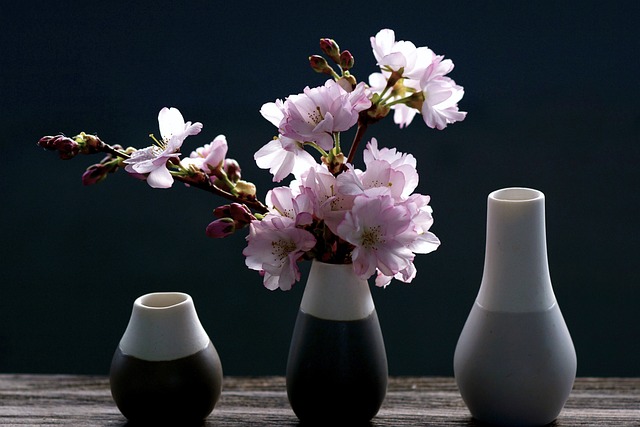 樱花 枝杈 粉色的 - 上的免费照片