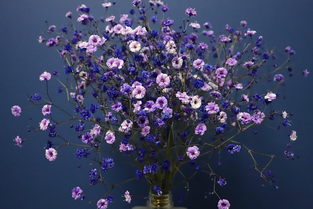 花朵 满天星 花束 - 上的免费照片