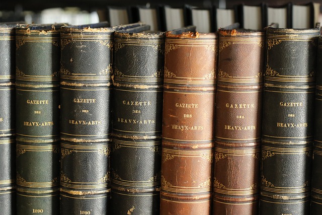 图书 老的 书架 - 上的免费照片