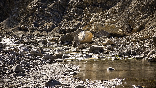 Arroyo 峡谷 岩石 - 上的免费照片