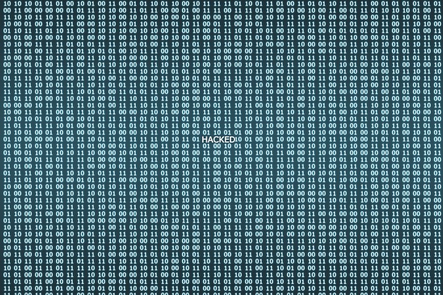 被黑了 网络 黑客 - 上的免费图片