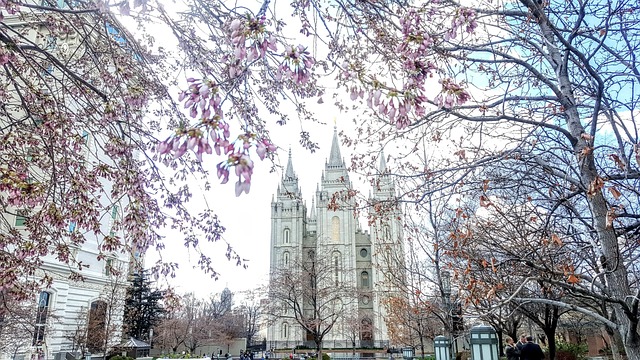 盐湖城 寺庙 春天 - 上的免费照片