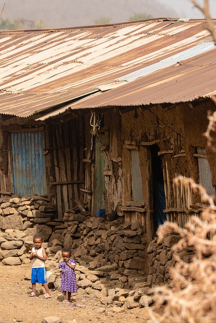 埃塞俄比亚 非洲 房子 - 上的免费照片