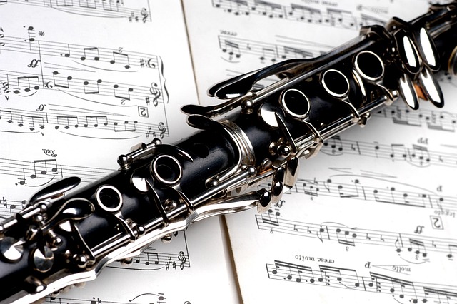 仪器 单簧管 音乐 - 上的免费照片
