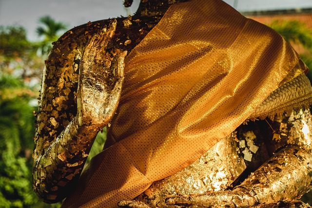 扫管笏 寺庙 麦 - 上的免费照片