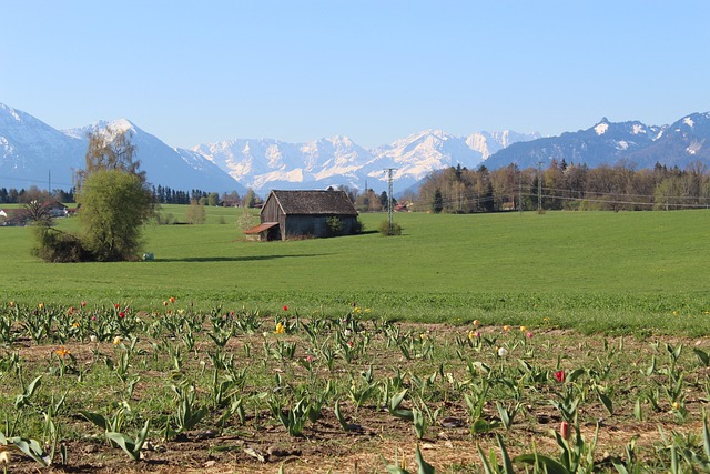 山 高山 景观 - 上的免费照片