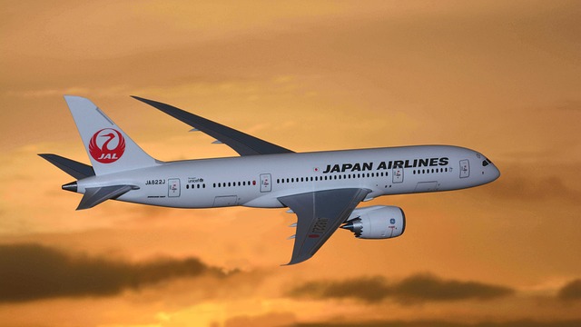 飞机场 日本 日本航空公司 - 上的免费照片