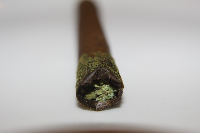 Canna棒 注预卷头 钝 - 上的免费照片