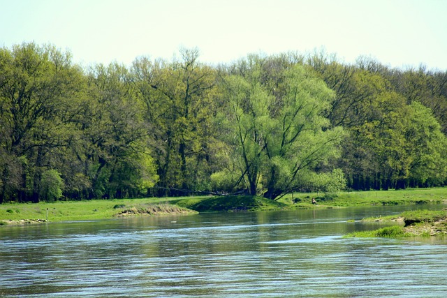 河 水 麻疹 - 上的免费照片