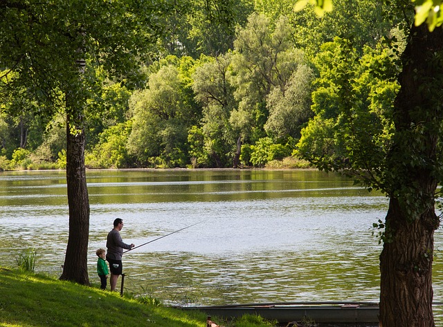 海滨 蒂萨 景观 - 上的免费照片