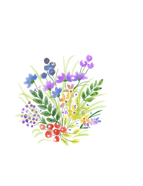 花朵 水彩 装饰 - 上的免费图片