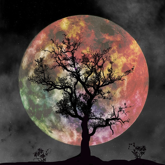 满月 轮廓 树 - 上的免费图片