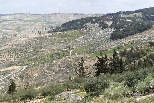 约旦 尼波 山 - 上的免费照片