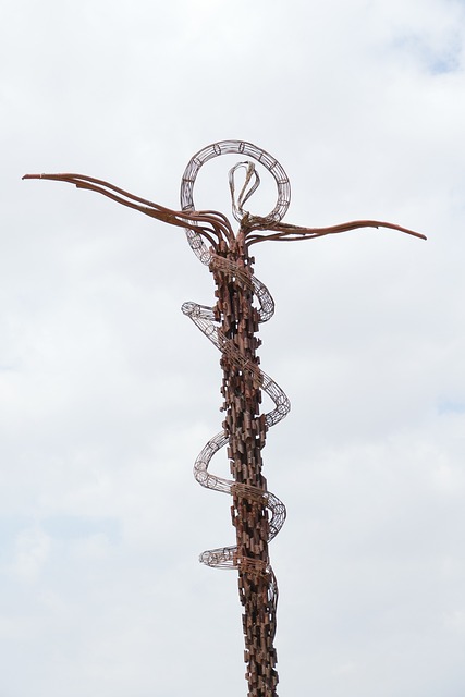 约旦 尼波 山 - 上的免费照片