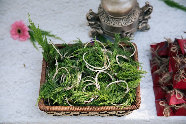 的婚礼 美丽 自然的 - 上的免费照片