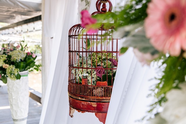 的婚礼 美丽 自然的 - 上的免费照片