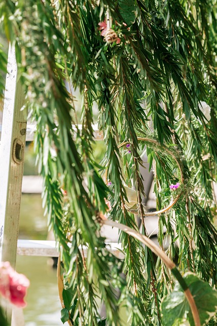 的婚礼 美丽 自然的 - 上的免费照片