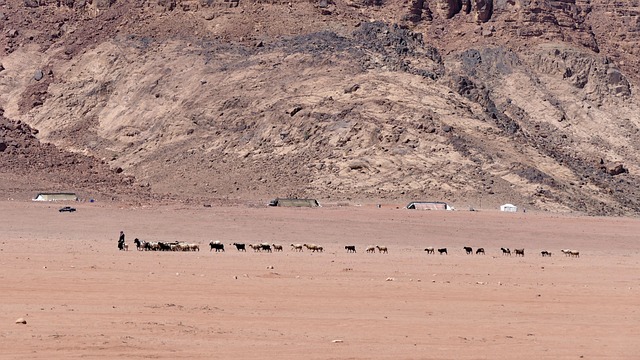 Wadirum Agaba 沙漠 - 上的免费照片