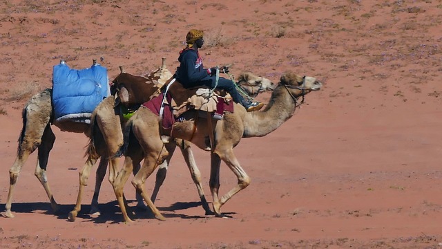 Wadirum Agaba 沙漠 - 上的免费照片