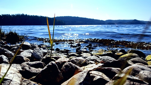 看法 湖 海 - 上的免费照片
